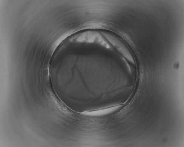 X0000114621226200911171050