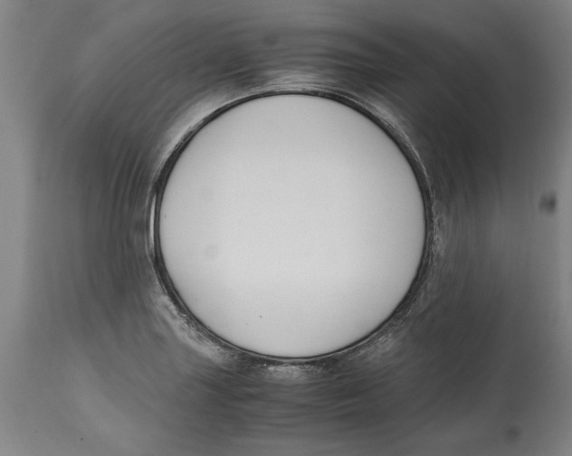 X0000114621227200911171050
