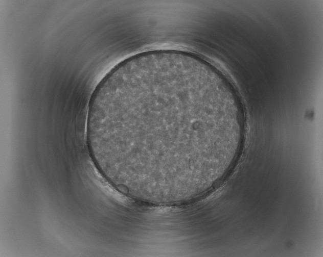 X0000114621228200911171050