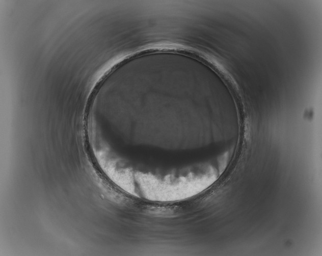 X0000114621229200911171050