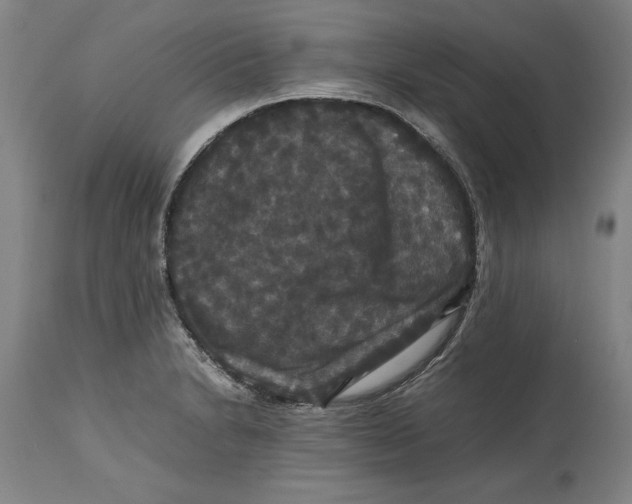 X0000114621230200911171050