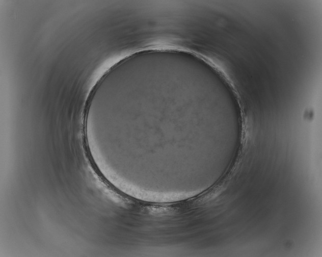 X0000114621231200911171050