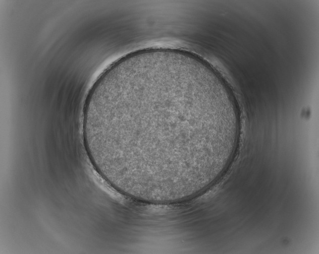 X0000114621232200911171050