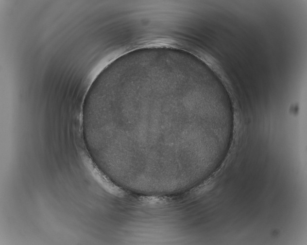 X0000114621234200911171050