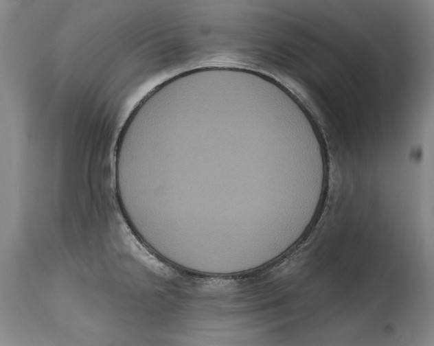 X0000114621238200911171050