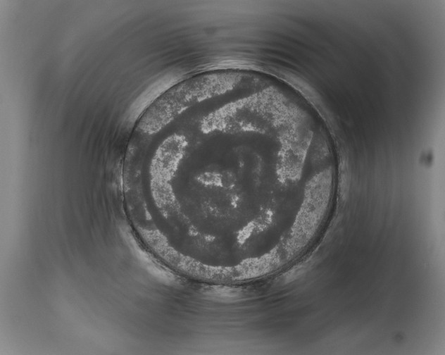 X0000114621241200911171050