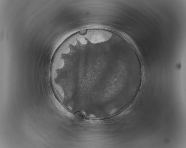 X0000114621244200911171051