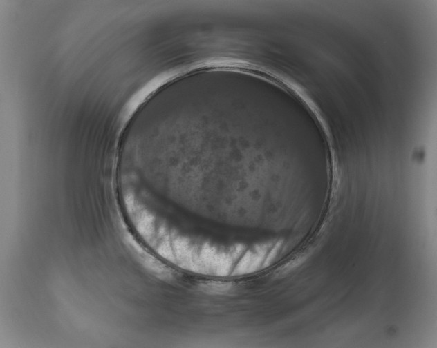 X0000114621245200911171051