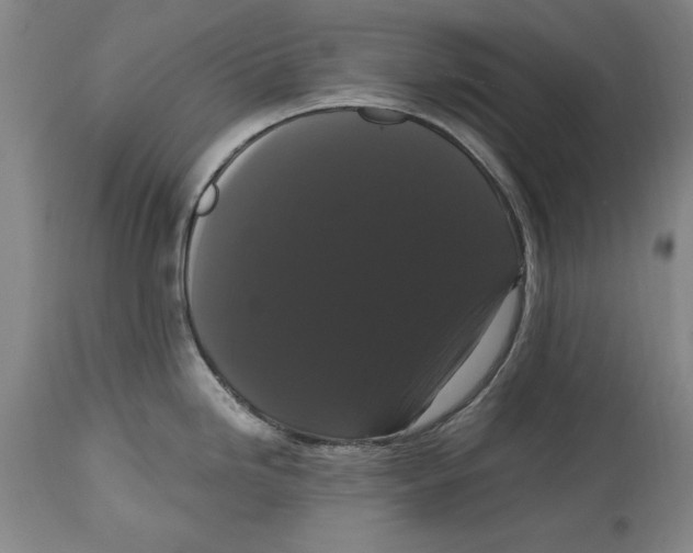 X0000114621246200911171051