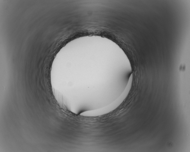 X0000114621249200911171050