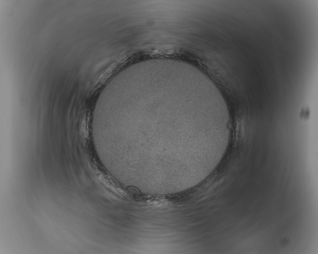 X0000114621250200911171050