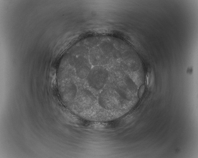 X0000114621251200911171050