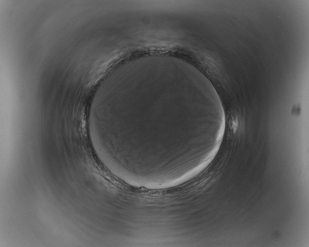 X0000114621252200911171050