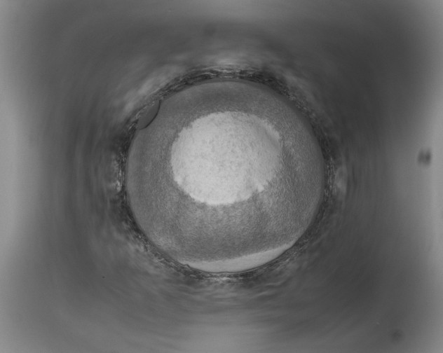 X0000114621253200911171050