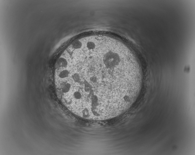 X0000114621255200911171050
