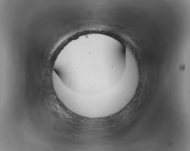 X0000114621256200911171050