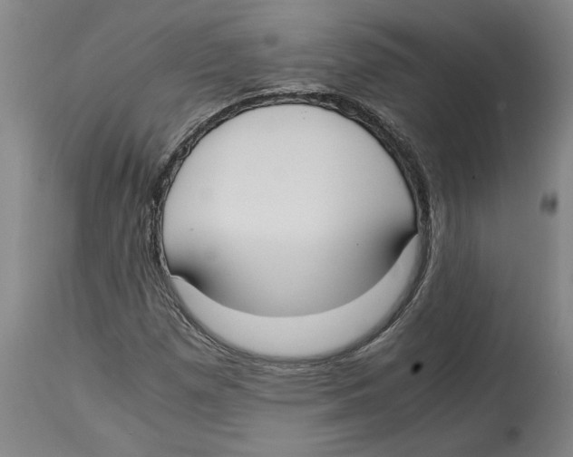 X0000114621257200911171050