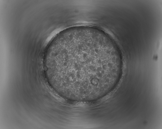 X0000114621259200911171050