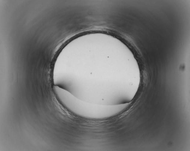 X0000114621260200911171050