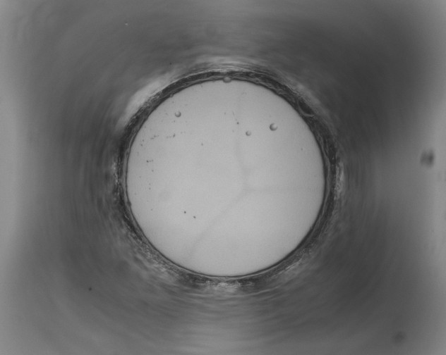 X0000114621261200911171050