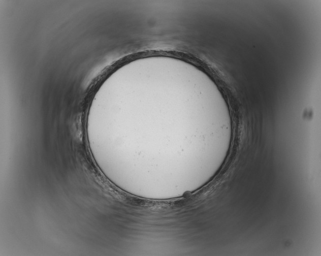 X0000114621262200911171050