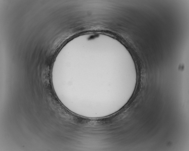 X0000114621265200911171050