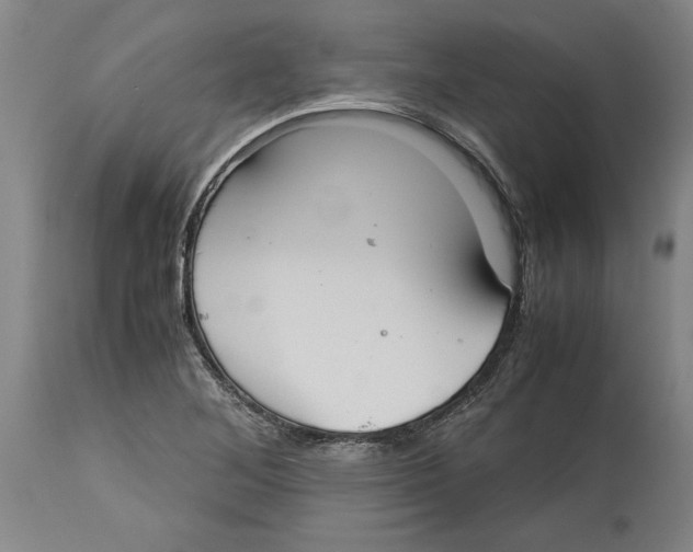 X0000114621268200911171050