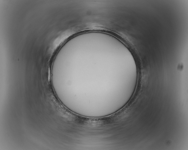 X0000114621269200911171050