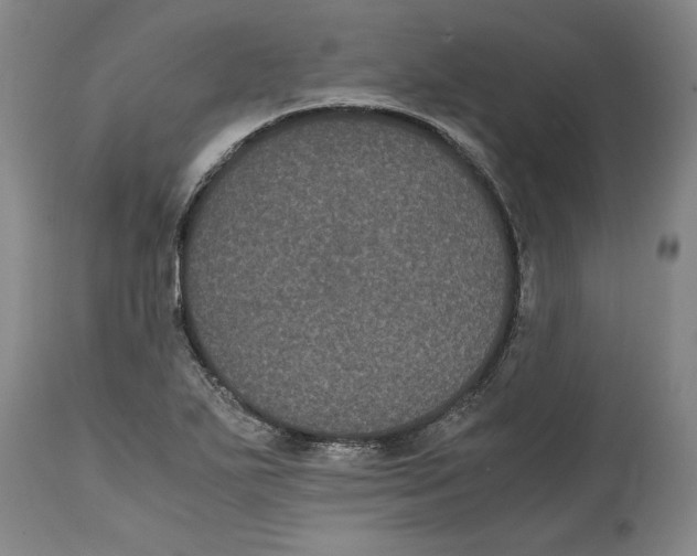 X0000114621271200911171050