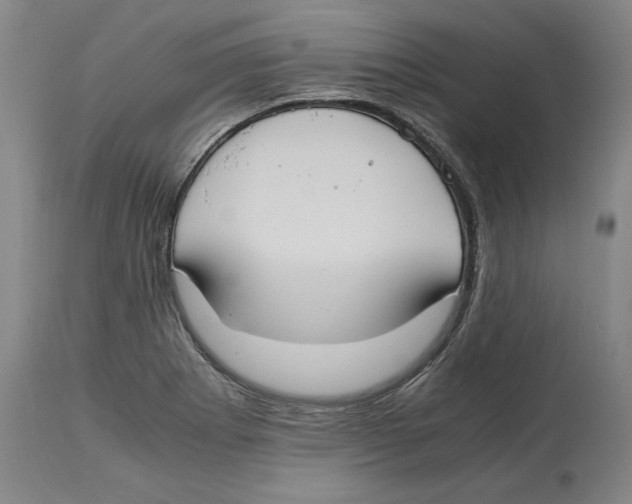 X0000114621273200911171050