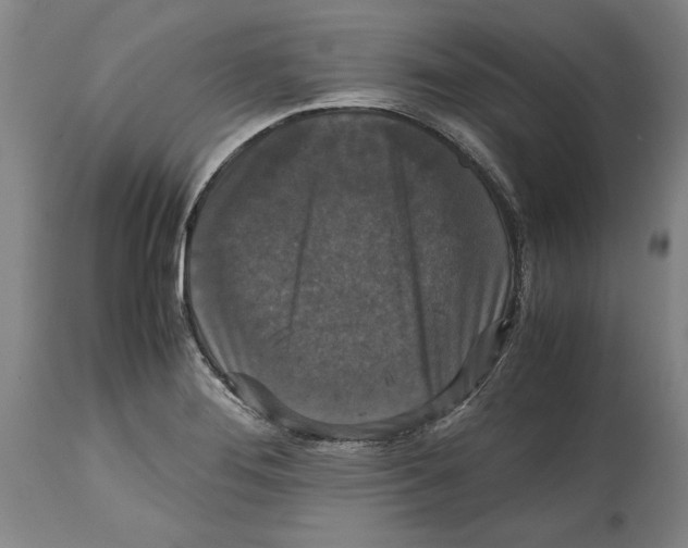 X0000114621276200911171050