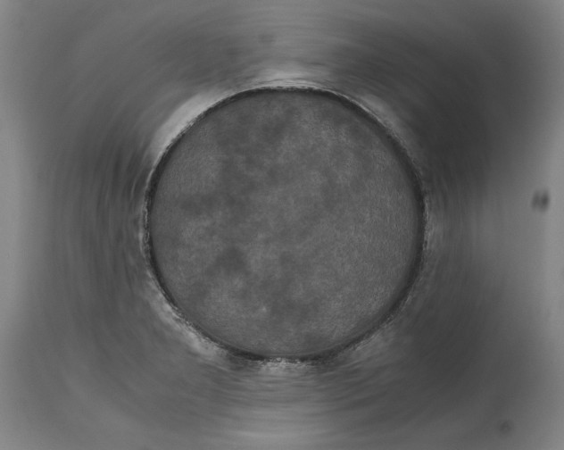 X0000114621277200911171050
