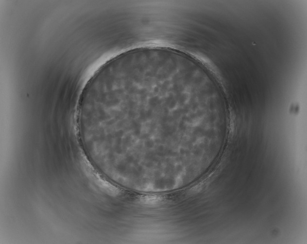 X0000114621278200911171050