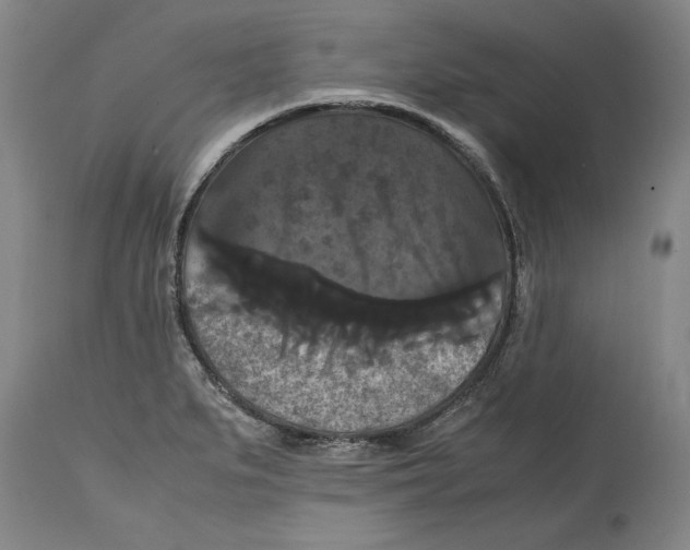 X0000114621279200911171050