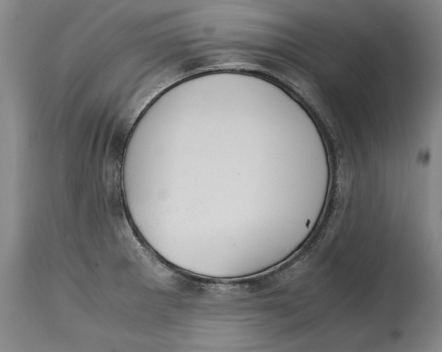 X0000114621281200911171049