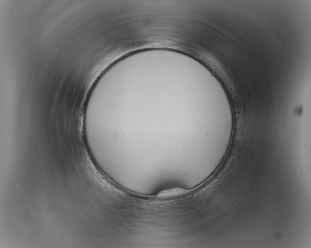 X0000114621284200911171049