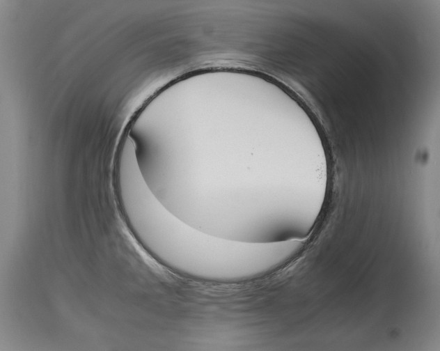 X0000114621285200911171049