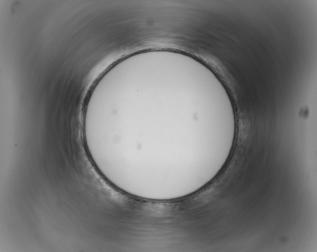 X0000114621286200911171049