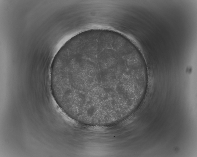 X0000114621287200911171049