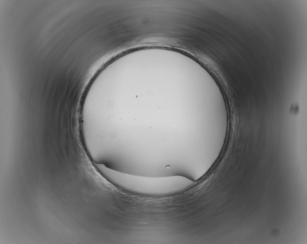 X0000114621288200911171049