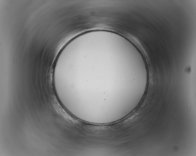 X0000114621292200911171049