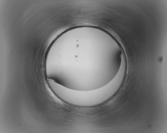 X0000114621293200911171049