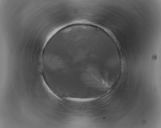 X0000114621295200911171049