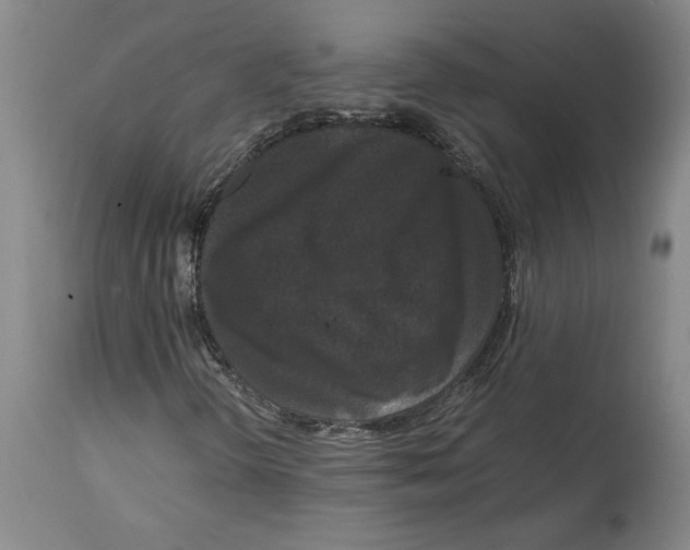 X0000114621298200911171048