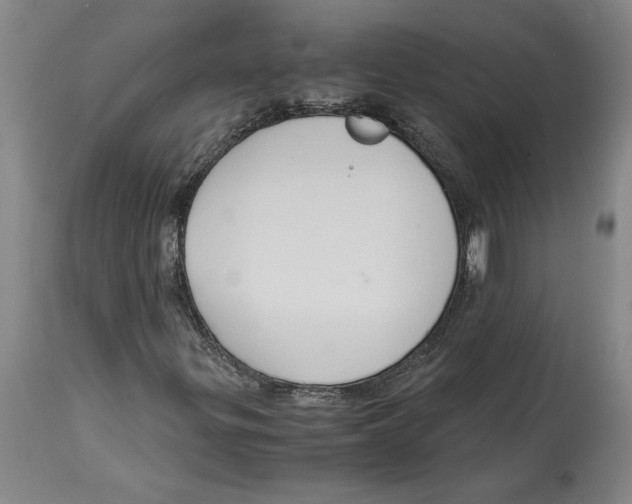 X0000114621299200911171048