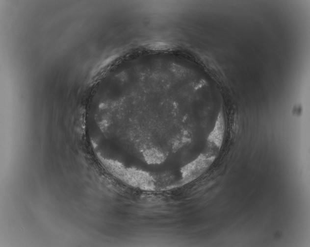 X0000114621301200911171049