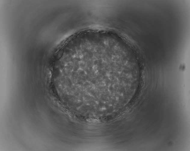 X0000114621302200911171049