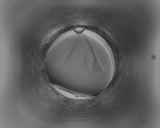 X0000114621303200911171049