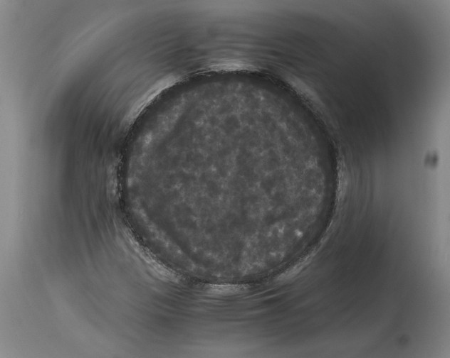 X0000114621305200911171049