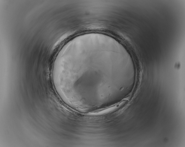 X0000114621306200911171049